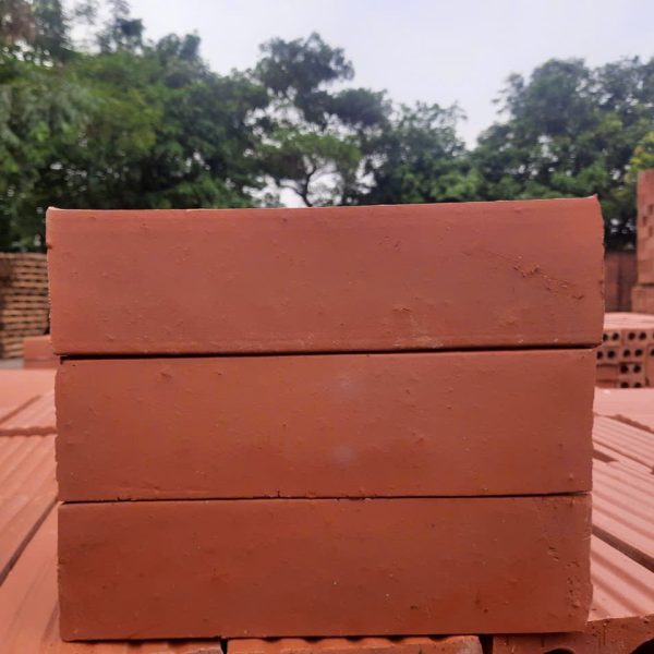 Gạch đất nung Xuân Hòa 10×21 không trát 01