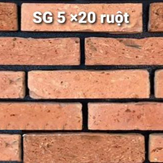 Gạch đất nung cổ 5×20 SG 01