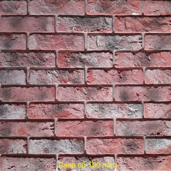 Gạch không nung cổ 5×18 100 năm 01