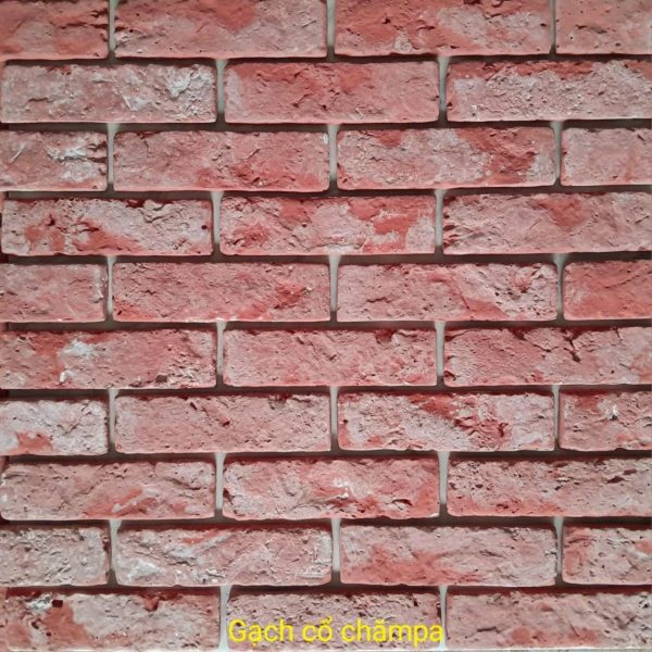 Gạch không nung cổ 5×18 Chămpa 01