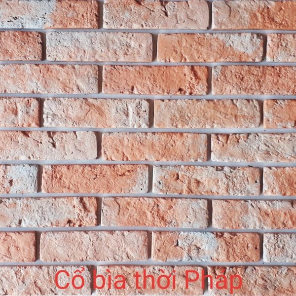 Gạch không nung cổ 5×18 bìa thời Pháp 01