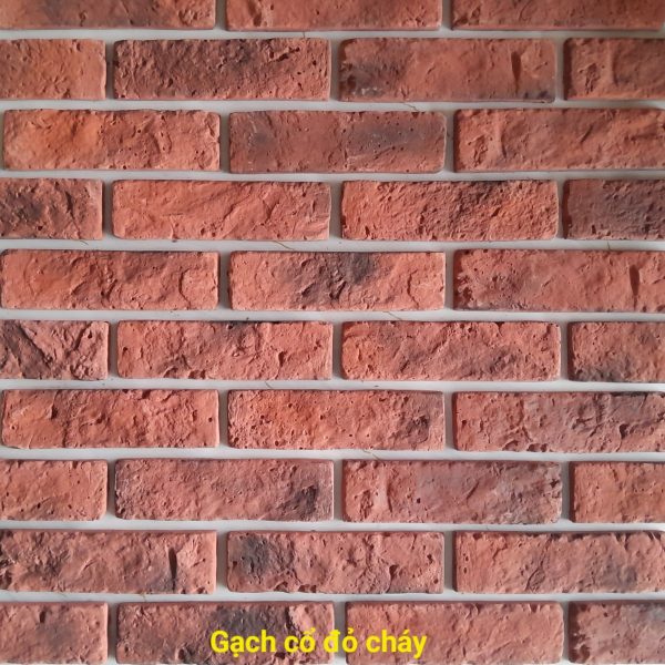 Gạch không nung cổ 5×18 đỏ cháy 01