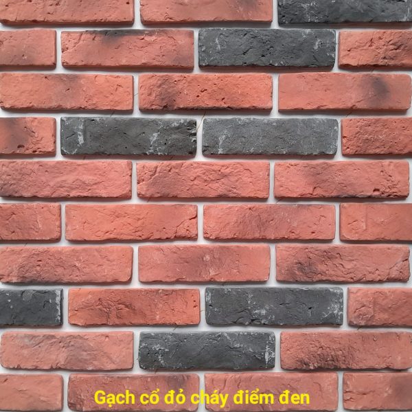 Gạch không nung cổ 5×18 đỏ cháy điểm đen 01