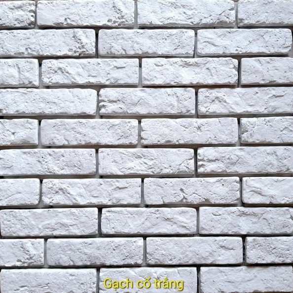 Gạch không nung cổ 5×18 trắng 01