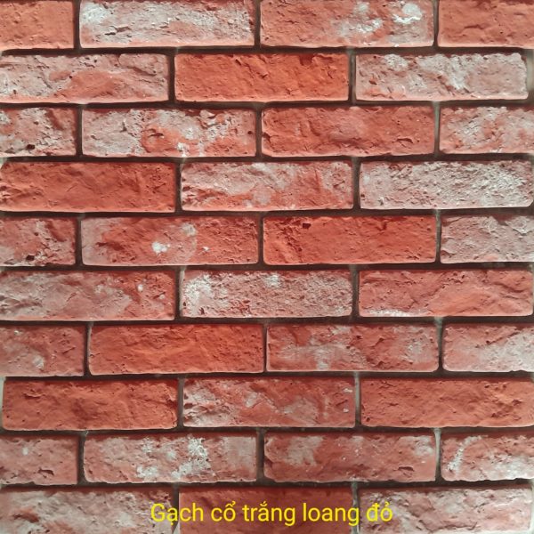 Gạch không nung cổ 5×18 trắng loang đỏ 01