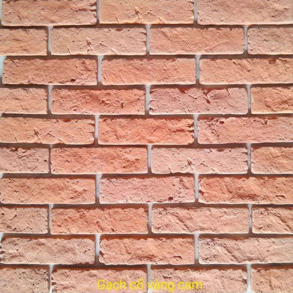 Gạch không nung cổ 5×18 vàng cam 01