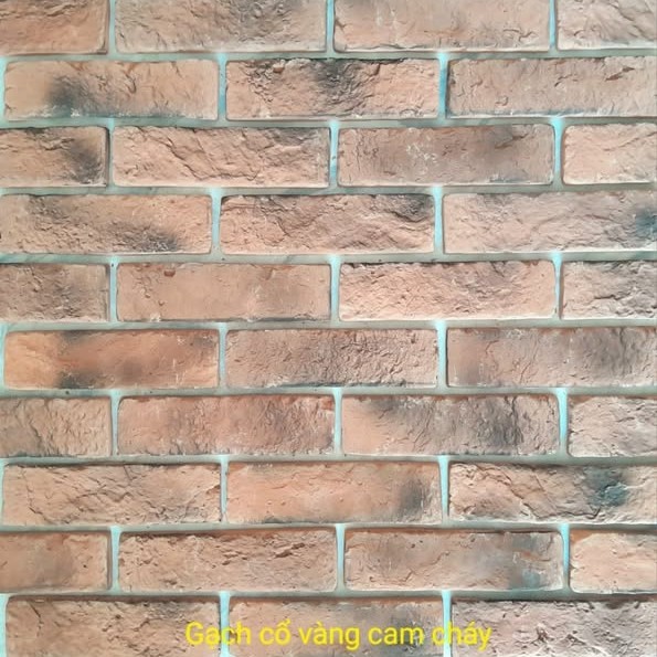 Gạch không nung cổ 5×18 vàng cam cháy 01